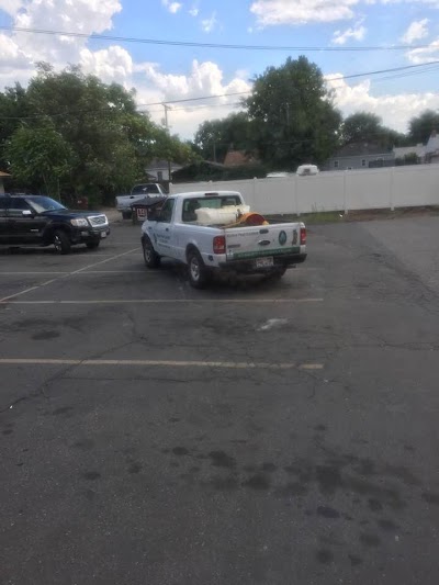 Alpine Pest Control
