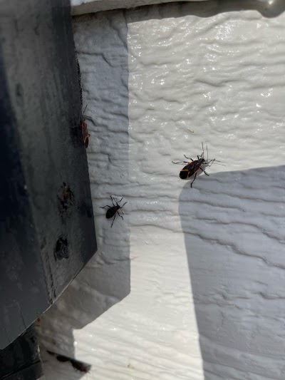 H2 Pest Control