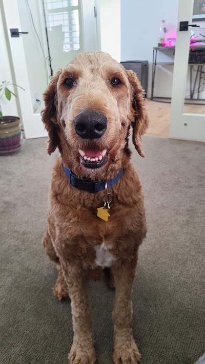 Petco